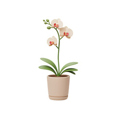Fototapeta premium Minimal Potted Orchid with Tiny Bloom