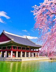 View of the beautiful cherry blossoms with a traditional Korean house next to a lake in spring in Seoul.