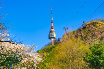 View of the Seoul Tower and some flowers in spring in Seoul, South Korea.