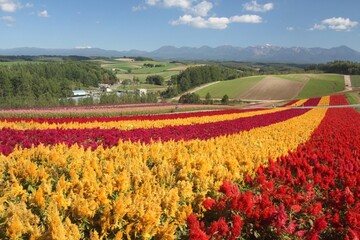 Japan_Hokkaido