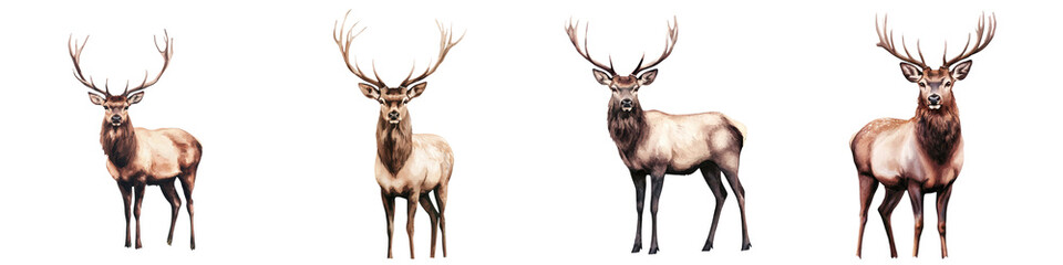 Obraz premium Majestic male deer stags with ornate antlers standing alone or in a herd within a serene natural woodland landscape These powerful graceful animals embody the beauty and wonder of the wilderness