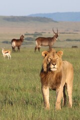 You don't have to eat everything on the buffet