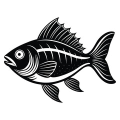 Fish silhouette vector white background-2