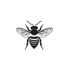 bee vector illustration