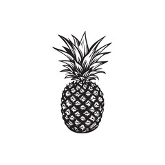 Obraz premium pineapple isolated on white background
