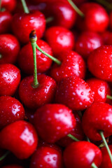 Macro shot of ripe fresh red cherries with water drops. Close up food photography