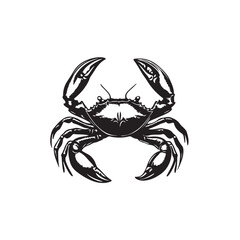 red crab on white background