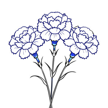 blue outline carnations on white background clip art preview