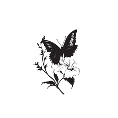 Fototapeta premium butterfly and flowers