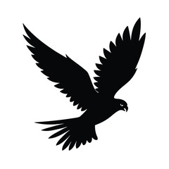 eagle in flight vector Silhouettes illustration