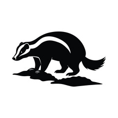 honey badger vector illustration