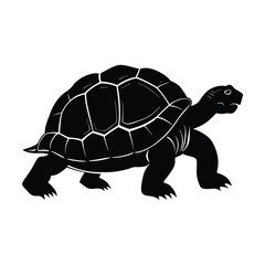 turtle vector Silhouettes illustration