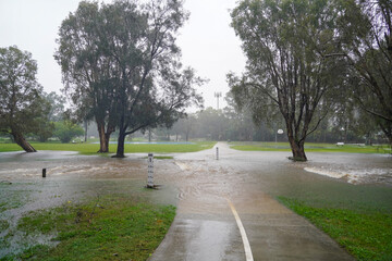  Flooded park with submerged pathways and overflowing water during heavy rain at Holland Park greenspace during Cyclone Alfred