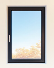 Clear view through a modern black-framed window on a sunny day