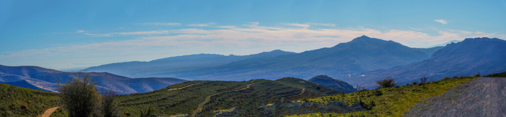 Obraz premium forest of trees at the foot of the mountains