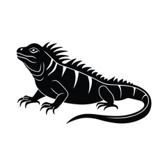 vector Silhouettes illustration iguana on white background
