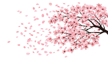 Fototapeta premium Blossoming cherry tree with pink petals drifting away.