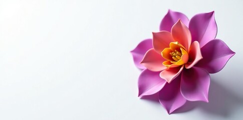 Obraz premium Delicate kusudama flower in shades of purple and yellow on white background, petals, abstract, purple