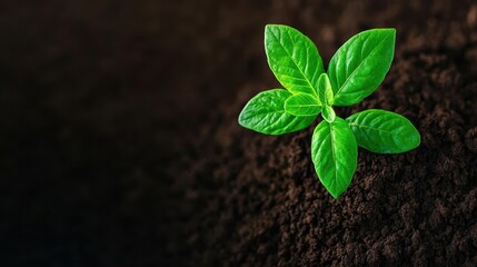 A tech startup leveraging venture capital for breakthroughs