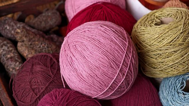 Lac dye. Natural cotton dyeing pink.
