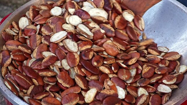 Roasted kayu seeds or Irvingia Malayana seeds.

