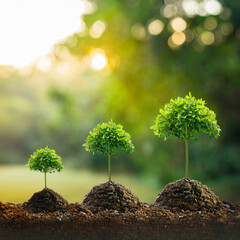 Growing Plants with Sunlight – Concept of Growth and Sustainability Generated Image