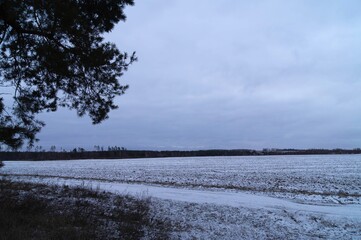 Obraz premium Snow-dusted rural field in Ukraine with a winter road, distant tree line, and overcast sky on a cold, cloudy day