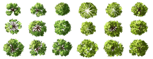 Vector watercolor green tree or forest top view isolated on white background for landscape plan and architecture drawing,plant for environment or garden,botanical element for exterior layout