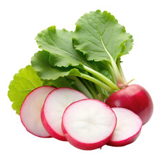 vegetables on white background