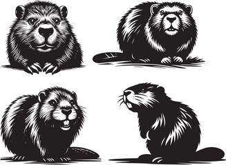 Beaver Silhouette Vector Illustration Art-4