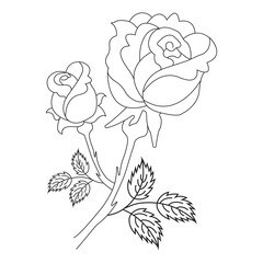 An illustration of a vector Rose flower in continuous line art drawing style.