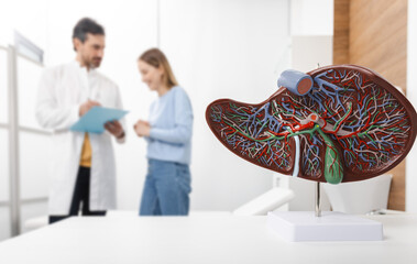 Treatment liver diseases in medicine, conceptual image. Liver anatomical model on doctor's table...