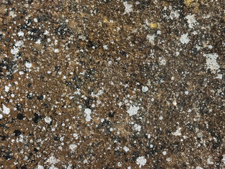 Close up of rustic and rough corroded brown stone texture with white dots splash. Natural weathering and decaying process. Suitable for decoration and rustic materials. Seamless background.