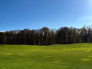Green golf course, trees and sky.