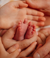 A heartwarming close-up of adult hands gently holding a newborn's tiny feet, symbolizing love and care.