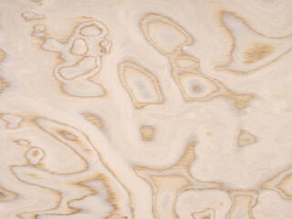 Plywood veneer displaying abstract organic shapes with a soft gradient of creamy to light brown tones