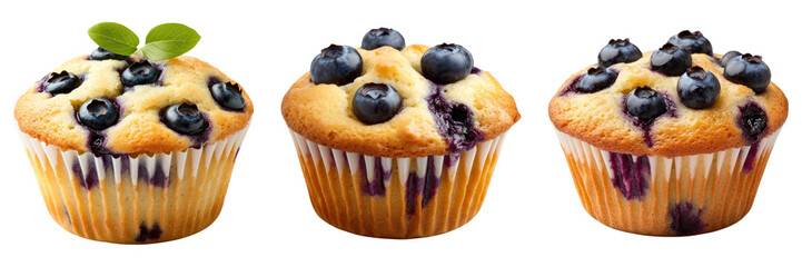 Blueberry muffins with fresh berries and leaves on top