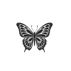Butterfly silhouette. Butterfly logo vector design isolated on white background