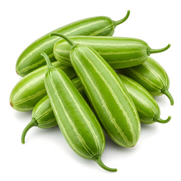 Fresh Green Striped Pointed Gourd, Heap of Raw Snake Gourds, Isolated Vegetable
