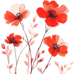 floral background with poppies
