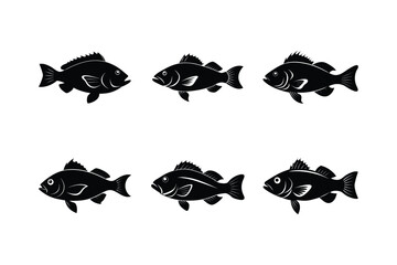 Sunbeam Grouper silhouette vector illustration