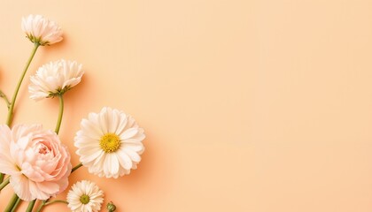 Naklejka premium Peach and white flowers on soft pastel background, delicate floral arrangement.