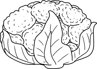 cauliflower cartoon doodle