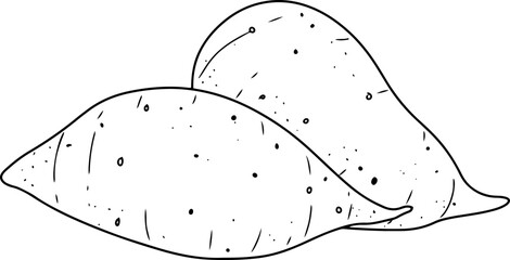 sweet potatoes hand drawn