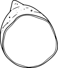 sweet potato hand drawn