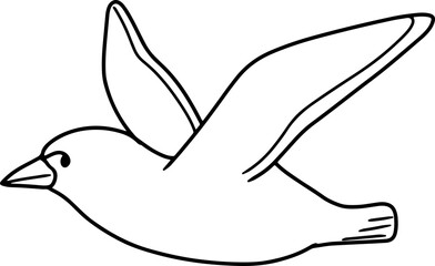 doodle bird