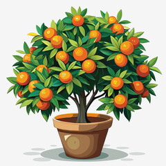 Orange tree in pot