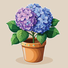 Hydrangea in a pot. Vector illustration with a blue hydrangea.