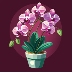 pink orchid in a pot houseplant vector
