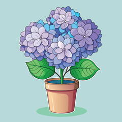 Hydrangea in a pot. Vector illustration with a blue hydrangea. houseplant vector